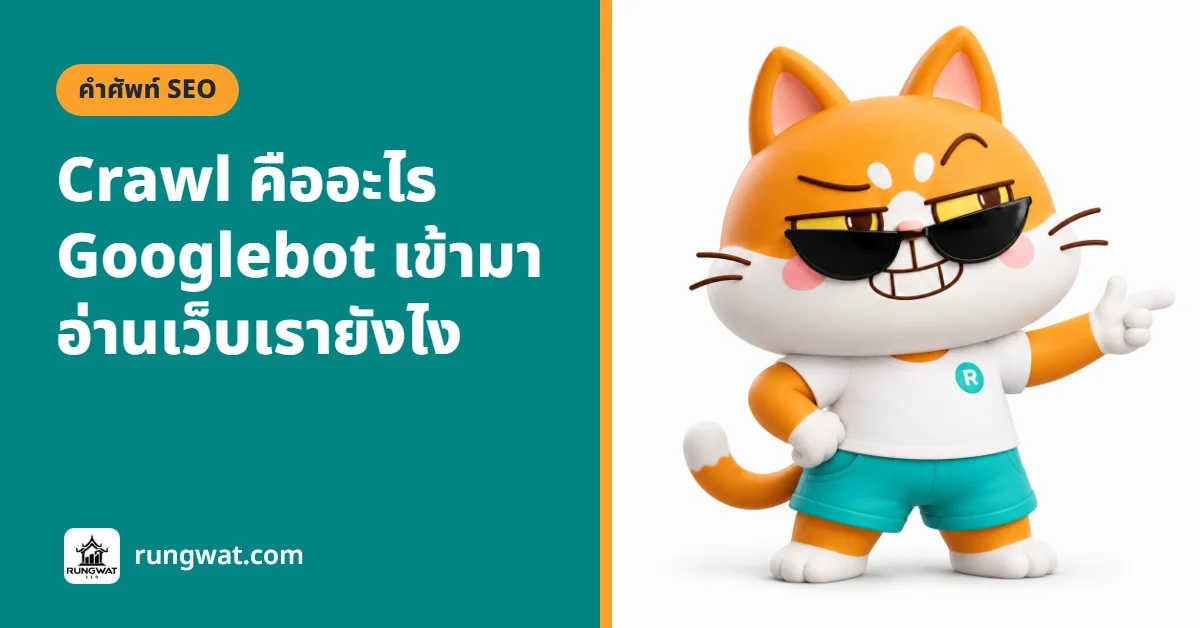 Crawl คืออะไร บอทของ Google เดินเก็บหน้าเว็บยังไง