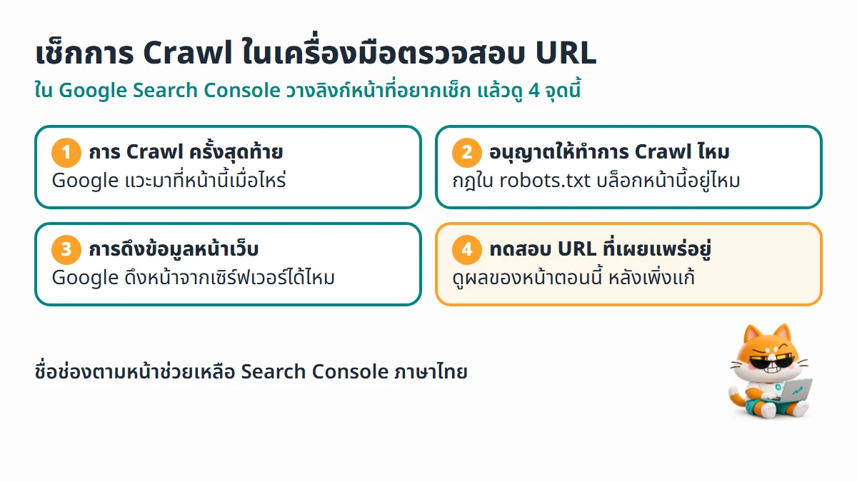 4 จุดในเครื่องมือตรวจสอบ URL ที่ใช้เช็กการ crawl ได้แก่ การ Crawl ครั้งสุดท้าย อนุญาตให้ทำการ Crawl ไหม การดึงข้อมูลหน้าเว็บ และทดสอบ URL ที่เผยแพร่อยู่