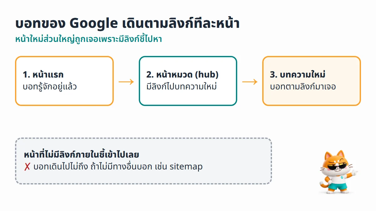 บอทของ Google เดินตามลิงก์จากหน้าแรกไปหน้าหมวด แล้วไปถึงบทความใหม่ ส่วนหน้าที่ไม่มีลิงก์ภายในชี้เข้าไป บอทเดินไปไม่ถึง