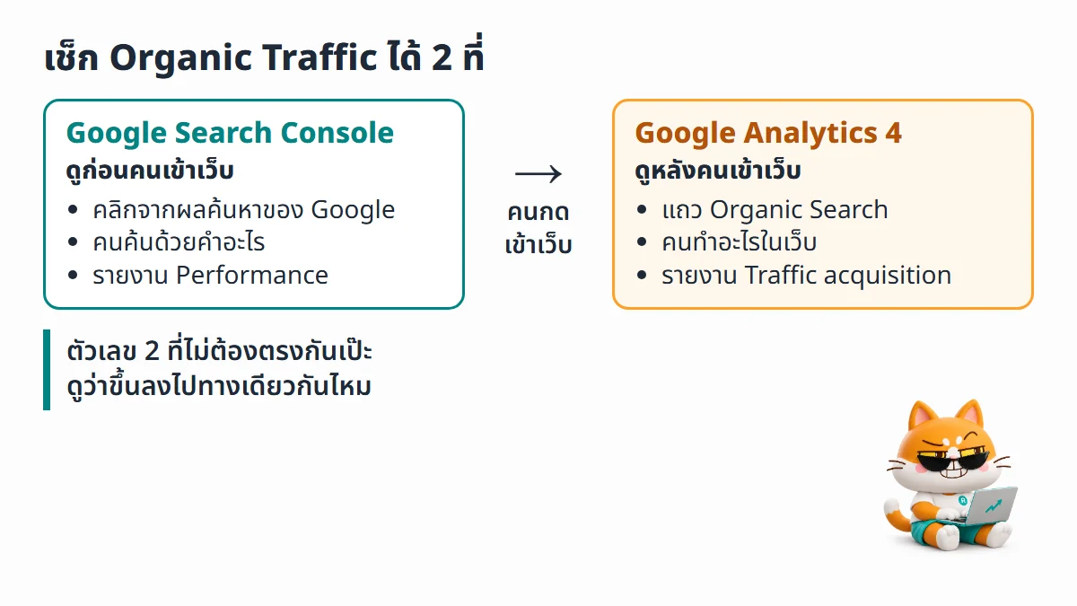 ผังเทียบ 2 เครื่องมือ Google Search Console ดูคลิกจากผลค้นหาของ Google ก่อนคนเข้าเว็บ ส่วน Google Analytics 4 ดูช่องทาง Organic Search และสิ่งที่คนทำในเว็บ