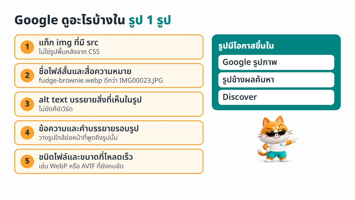 สิ่งที่ Google ใช้ทำความเข้าใจรูป 1 รูปบนหน้าเว็บ ได้แก่ แท็ก img ที่มี src ชื่อไฟล์ alt text ข้อความและคำบรรยายรอบรูป และชนิดกับขนาดไฟล์ ก่อนรูปจะขึ้นใน Google รูปภาพ รูปข้างผลค้นหา และ Discover