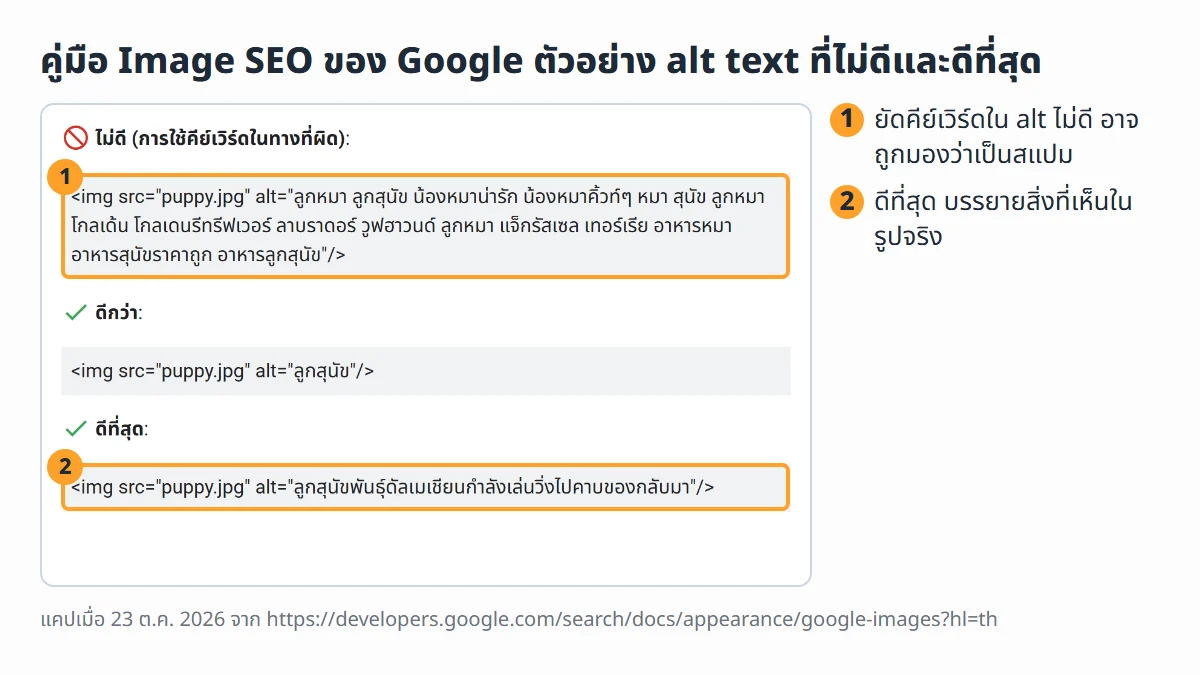 ภาพหน้าจอจริงจากหน้าแนวทางปฏิบัติแนะนำสำหรับ SEO ของรูปภาพของ Google ฉบับภาษาไทย ตัวอย่าง alt text แบบใช้คีย์เวิร์ดในทางที่ผิดซึ่งไม่ดี แบบดีกว่า และแบบดีที่สุดที่บรรยายว่าเป็นลูกสุนัขพันธุ์ดัลเมเชียน